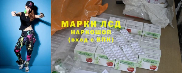 индика Дмитриев