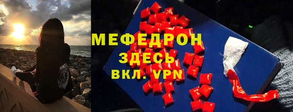 индика Дмитриев