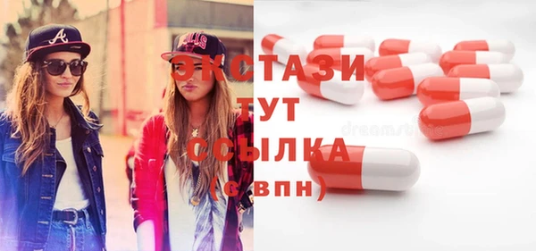 индика Дмитриев