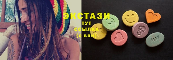 индика Дмитриев