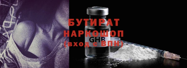 индика Дмитриев