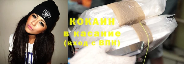 индика Дмитриев