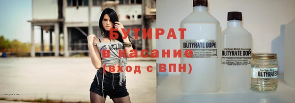 индика Дмитриев