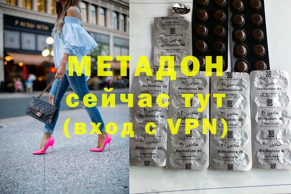 индика Дмитриев