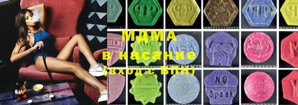 индика Дмитриев