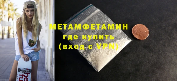 индика Дмитриев