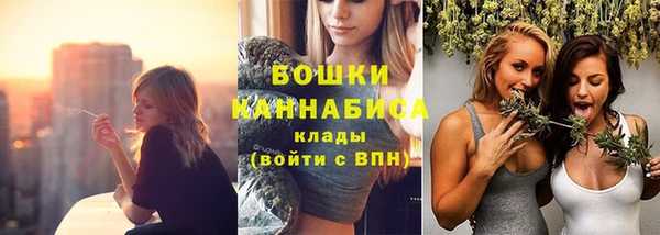 индика Дмитриев