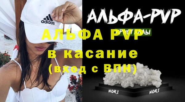 индика Дмитриев