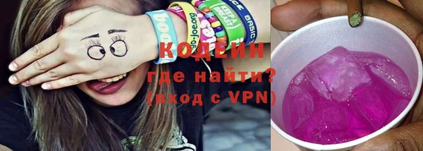 индика Дмитриев